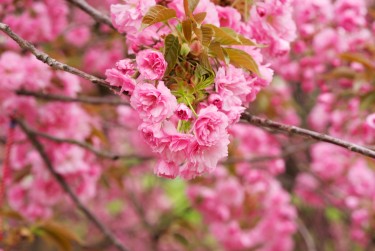 绍兴上虞区2线下个人借款平台一站式服务，轻松解决资金难题